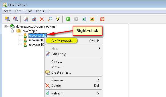 LDAP Admin right-click menu on a user entry with Set Password highlighted
